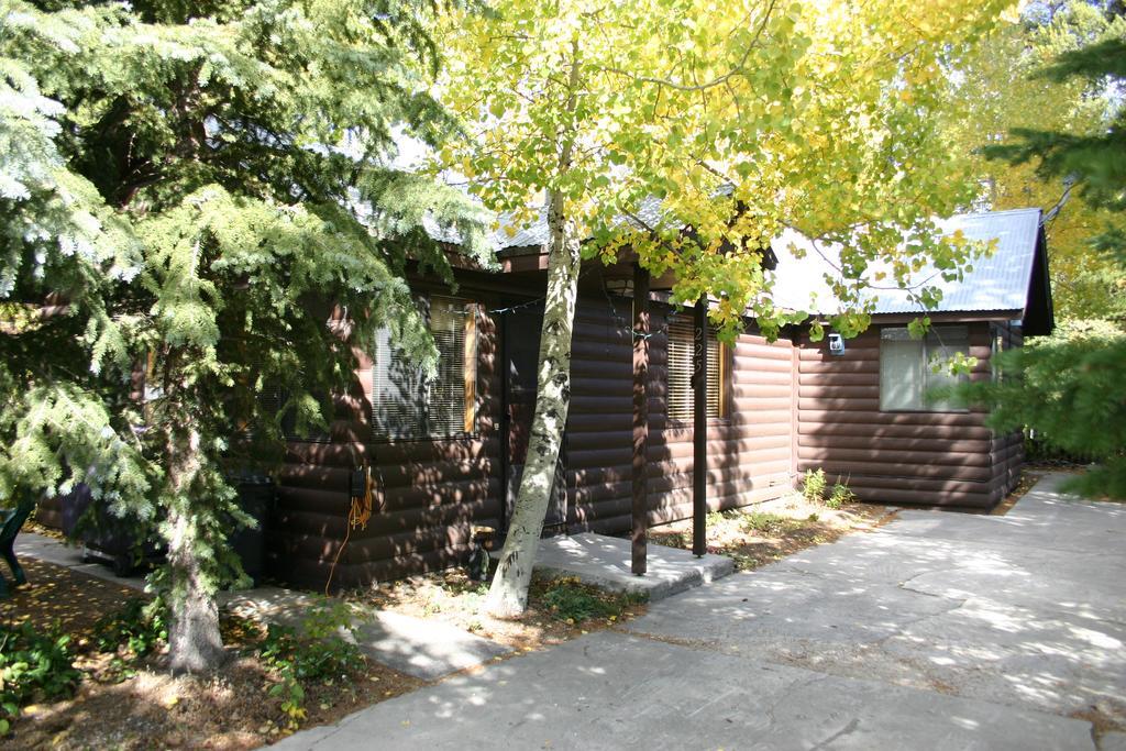 Yellowstone Wildlife Cabins West Yellowstone Exterior foto